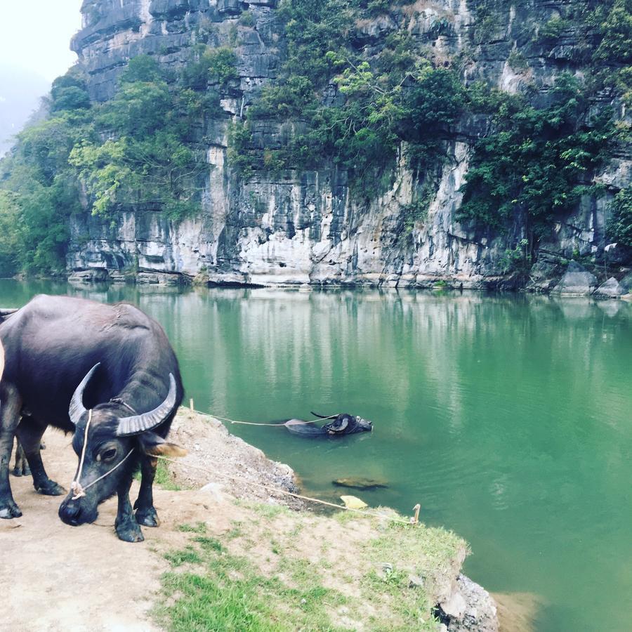 Mai'S Homestay Trang An Ninh Bình Kültér fotó