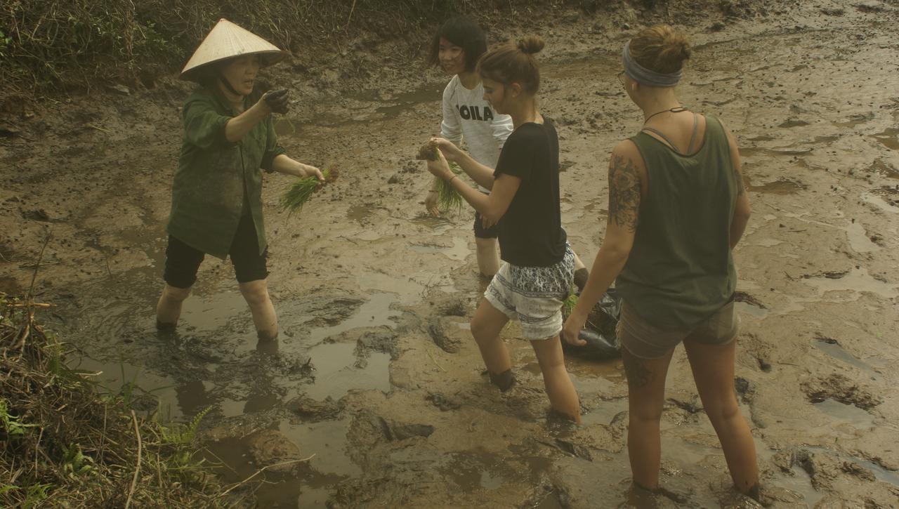 Mai'S Homestay Trang An Ninh Bình Kültér fotó