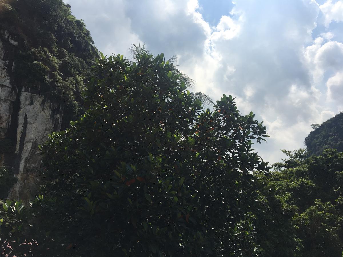 Mai'S Homestay Trang An Ninh Bình Kültér fotó