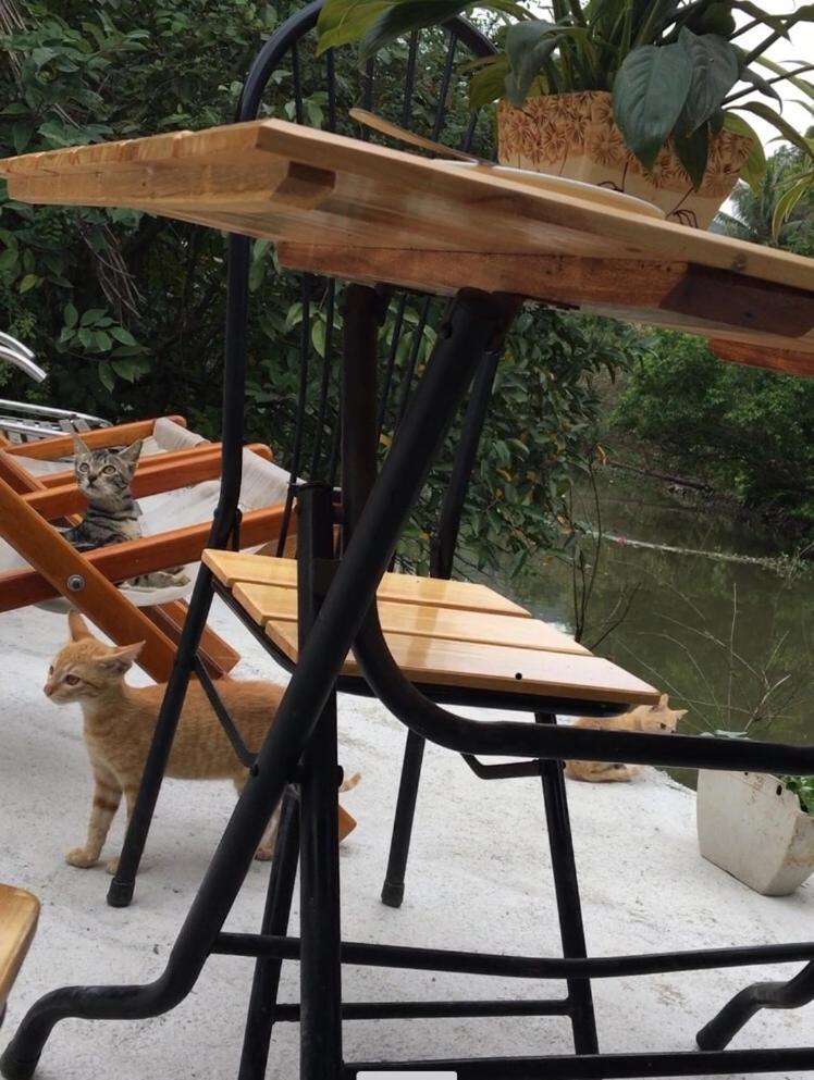 Mai'S Homestay Trang An Ninh Bình Kültér fotó
